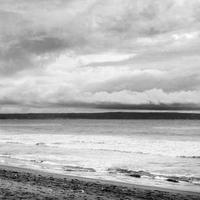 蘑菇视频APP二维码